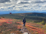 Fjällvandra på vackra Stor-Närfjället! (Inkl transport)