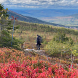Discover the mountains & forests on their own