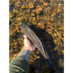 Fly fishing courses Sweden & Norway